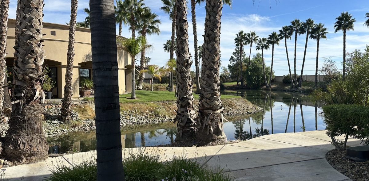 IMG_3572